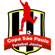 كأس الشباب البرازيلية