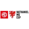Copa de la Liga de Gales