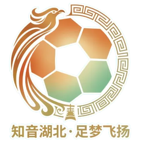 Hubei City Football League