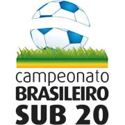 Liga Pemuda Brasil