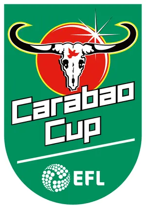 كأس الدوري الإنجليزي