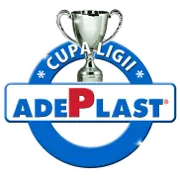 Liga Piala Rumania