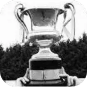 Copa Milk de Irlanda del Norte