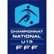 ফরাসি U19 যুব লীগ