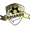Kejuaraan Brasil Goiano