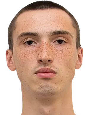 vitaliy melnikov