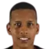Vinicius·dos Santos Lago