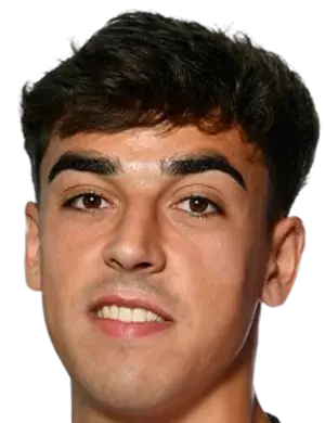 Ander Izagirre Cestona