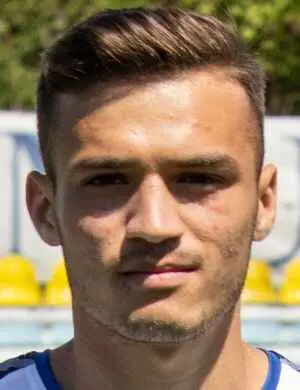 gabriel fulga
