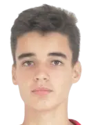 Nikolas Milos Pollak