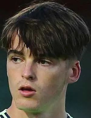 alex williams