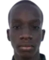 Darico king