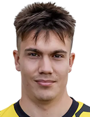 Nikolay Ermolaev