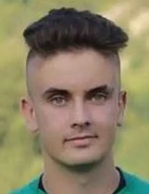 Dzenis Merdic