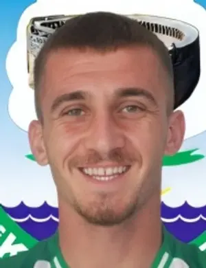 إرغون نازلي