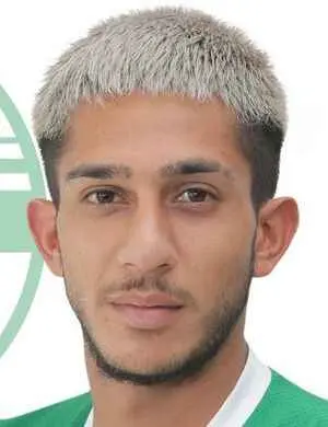 هاكان إرجيليك