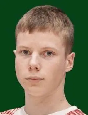 Erik ilves