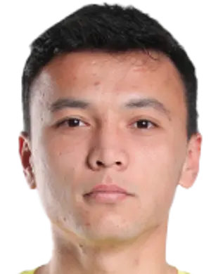 Yunus Ibragimov