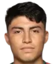 Luis Torres Navarrete