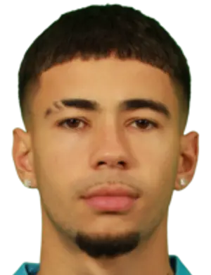 Dylan De Jesus Cardoso