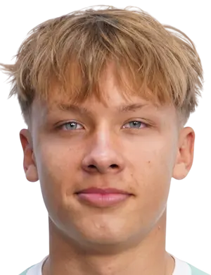 Vladislav Voronin