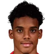 Anyelo Arturo Cruz