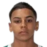 Matheus Guimaraes Marques