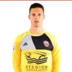 Despot Mihailovic