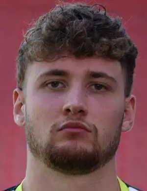L Leimeister
