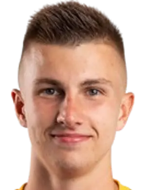David Cizek