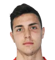 توميسلاف تورتشين