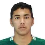 Miguel Ferreira