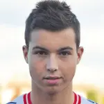 Damir Bartulovič