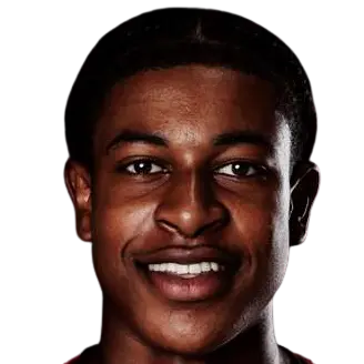 Tarik Gidaree