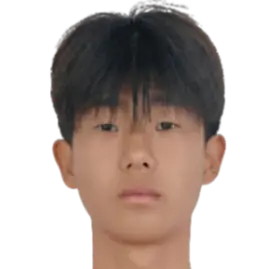 Lin Hanqi