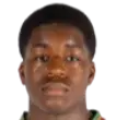 Salif leintu