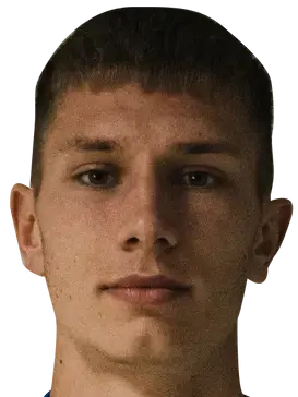 Dominik kozera