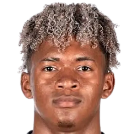 Emerson pata