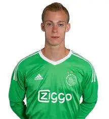 stan bladeren van