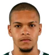 Miguel Dos Santos Silva