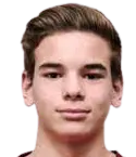 Gonçalo Negrão