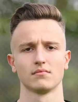 emilijan mirosavic