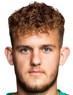 Denis Tomic