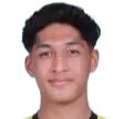Dainei Disa