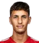 Tal Archel