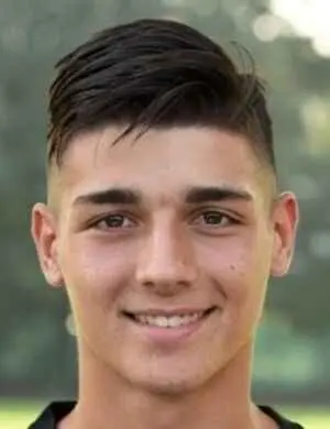 Nicolo Vai