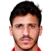 ديوغو مانويل غونسالفيس كويلو