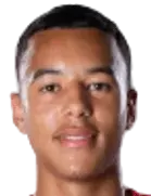 Hugo Garie