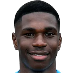 Loick Denis Henry Ayina