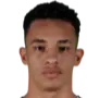 Dani Borges
